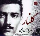 چه سازم به این دل (شور) - داریوش رفیعی