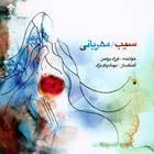 سخنهای نهان - فرزاد برهمن