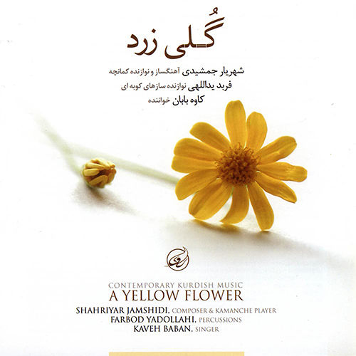 گلی زرد - فربد یداللهی و شهریار جمشیدی و کاوه بابان