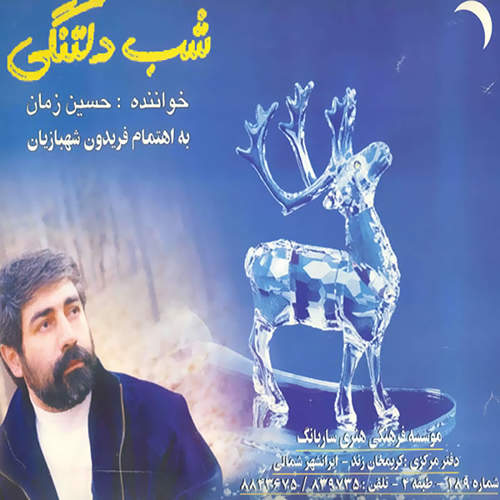 شب دلتنگی - حسین زمان