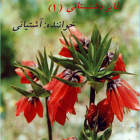 فایز خوانی 1 - سیف الدین آشتیانی