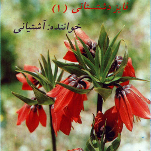 فایز دشتستانی (۱) - سیف الدین آشتیانی