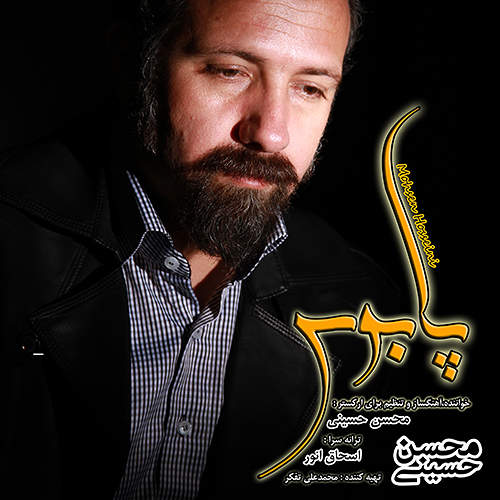پابوس - محسن حسینی