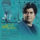 دلشدگان - سالار عقیلی