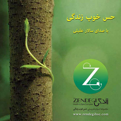 حس خوب زندگی - سالار عقیلی