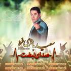 صدای نبضت - سعید باقری فرد