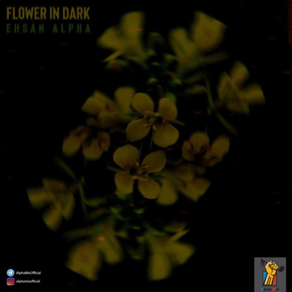 Flower In Dark - احسان آلفا