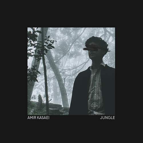 Jungle - امیر  کسائی