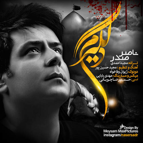 دلگیرم - ناصر صدر