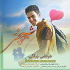 خوشبختی - مرتضی  زرلکی