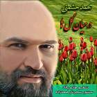 در میان گلها - محمد حشمتی