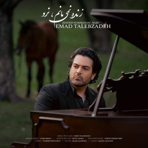 زنده نمی مانم نرو - عماد طالب زاده