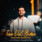 تو دل برو - شهاب رمضان