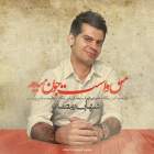 من واست جون میدم - شهاب رمضان