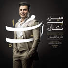 میرم پی کارم (ریمیکس) - علیرضا طلیسچی