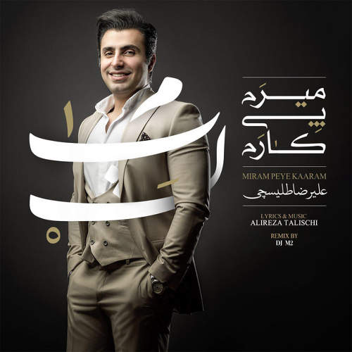 میرم پی کارم (ریمیکس) - علیرضا طلیسچی
