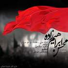 شاه منی - محسن ابراهیم زاده