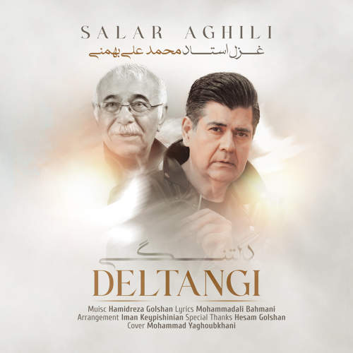 دلتنگی - سالار عقیلی