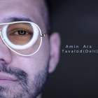 تولد (دلی) - امین آرا