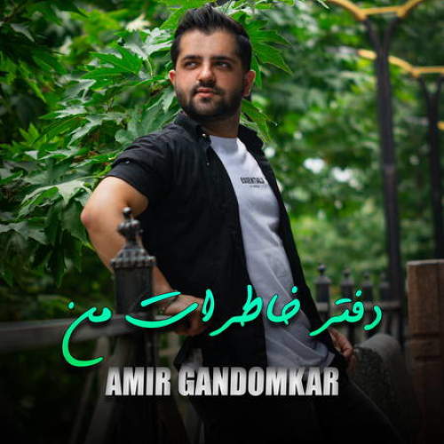 دفتر خاطرات من - امیر گندم کار