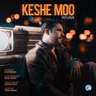 کش مو - ریوان
