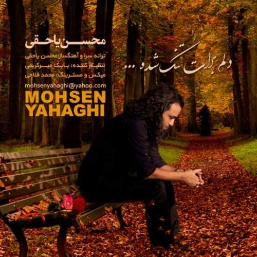 دلم برات تنگ شده - محسن یاحقی