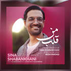 قلب من - سینا شعبانخانی