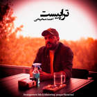 تراپیست - احمد صحیحی