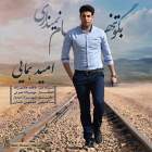 بگو تنهام نمیذاری - امید همایی