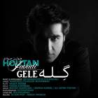 گله - هوتن جوادی
