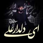 ای دلدار علی - مهدی محرمی