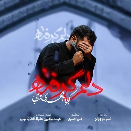 دلم گرفته - مهدی محرمی