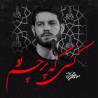 کسی که پرچم او - مهدی محرمی