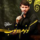 گونوم دونوب - مهدی محرمی