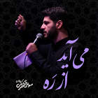 می آید از ره - مهدی محرمی