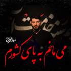 می مانم به پای کشورم - مهدی محرمی