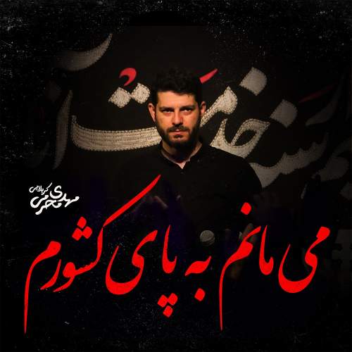 می مانم به پای کشورم - مهدی محرمی