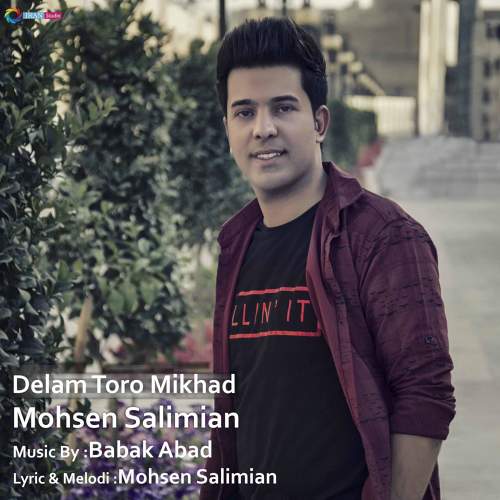 دلم تو رو میخواد - محسن سلیمیان