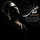 عاشقی یعنی همین - رضا شیری