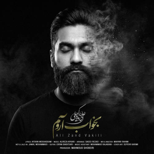 بخواب آروم - علی زند وکیلی