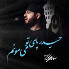 حیدر پای تو می مونم - مهدی محرمی