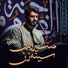 مسیر زندگی سینه زن - مهدی محرمی