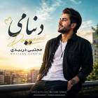 دنیامی - مجتبی دربیدی