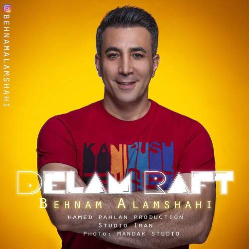 دلم رفت - بهنام علمشاهی