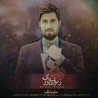زبون مادری - حامد زمانی