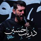 در ناب حسین - مهدی محرمی
