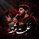 علمت عشقه - مهدی محرمی