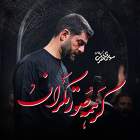 گر همه صورتگران - مهدی محرمی