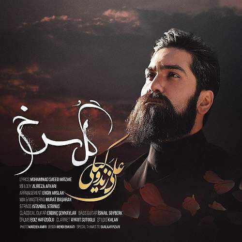 حامد همایون
