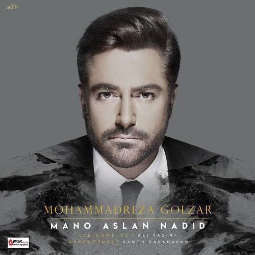 محمد رضا گلزار